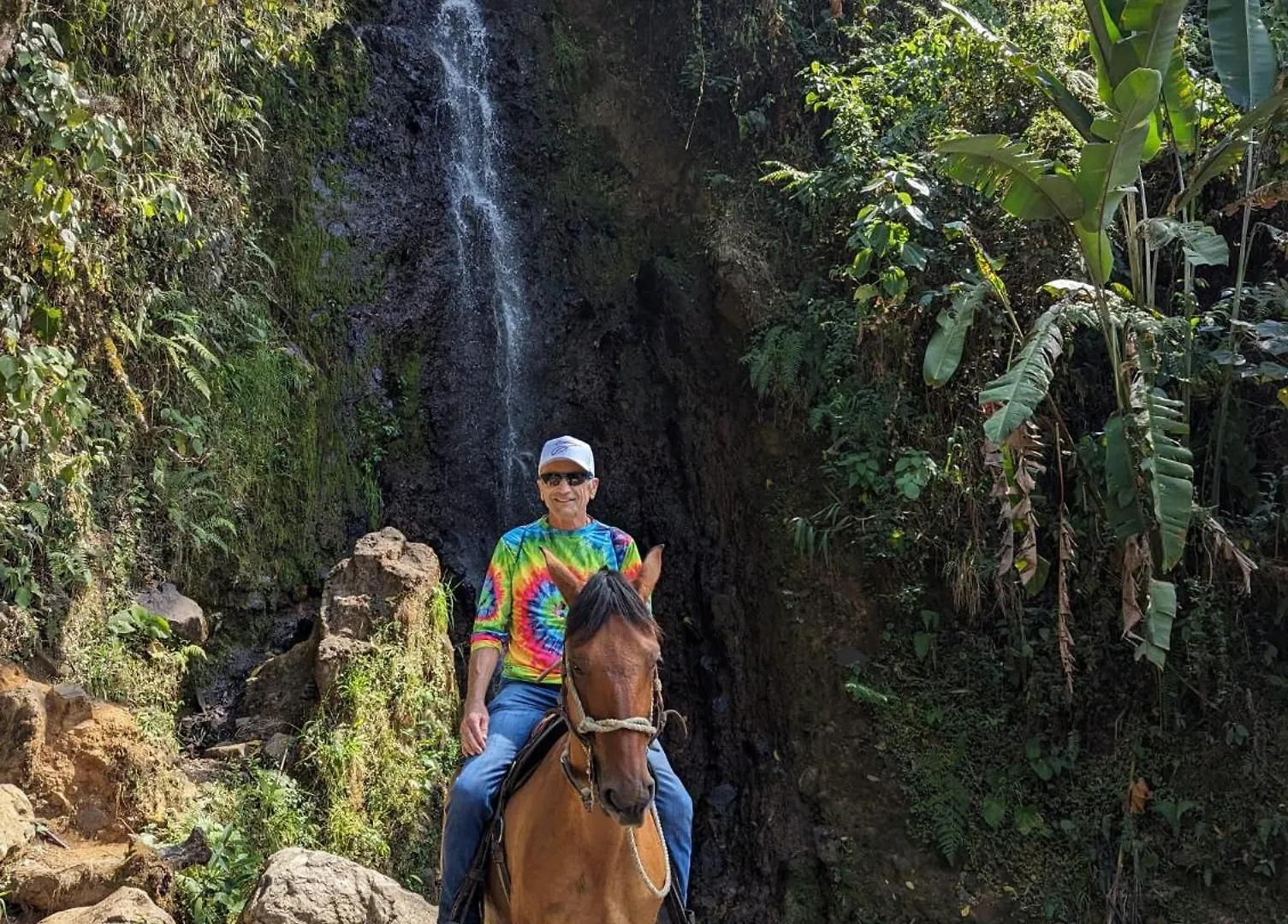 Paradise Lodging In Envigado- Hotel Envigado